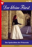 Das Spukschloss der Prinzessin (eBook, ePUB)