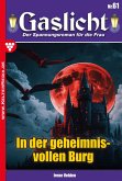 In der geheimnisvollen Burg (eBook, ePUB)