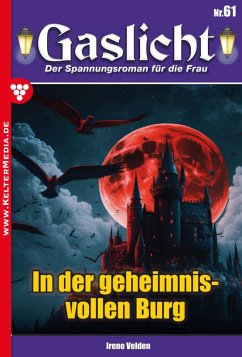 Cover In der geheimnisvollen Burg (eBook, ePUB)