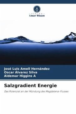 Salzgradient Energie - Amell Hernández, José Luis;Alvarez Silva, Oscar;Higgins A, Aldemar