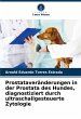 Prostataveränderungen in der Prostata... - Bild 1
