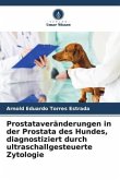 Prostataveränderungen in der Prostata des Hundes, diagnostiziert durch ultraschallgesteuerte Zytologie