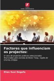 Factores que influenciam os projectos: