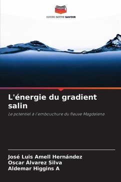 L'énergie du gradient salin - Amell Hernández, José Luis;Alvarez Silva, Oscar;Higgins A, Aldemar