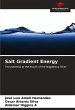 Salt Gradient Energy - Bild 1