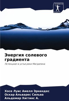Cover Jenergiq solewogo gradienta