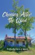 Chasing After the Wind (eBook, ePUB) - Bild 1