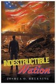 Indestructible Nation (eBook, ePUB)
