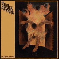 Endless Wound (Digipak) - Black Curse