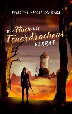 Der Fluch des Feuerdrachens 1 (eBook, ePUB) - Schwarz, Felicitas Nicole