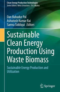 Sustainable Clean Energy Production Using Waste Biomass