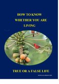How To Know Whether You Are Living a True or False Life (2) (eBook, ePUB)