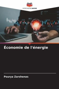 Économie de l'énergie - Zarshenas, Pourya