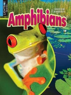 Amphibians - Zayarny, Jack