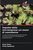 Impatto delle microimprese sui mezzi di sussistenza