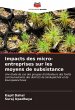 Impacts des micro-entreprises sur les... - Bild 1