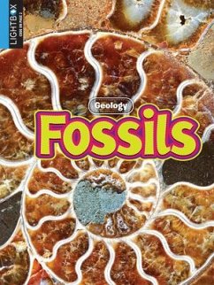 Fossils - Lappi, Megan