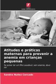 Atitudes e práticas maternas para prevenir a anemia em crianças pequenas