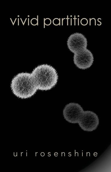 Vivid Partitions Vivid Partitions