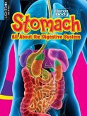 Stomach: All about the Digestive System