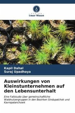 Auswirkungen von Kleinstunternehmen auf den Lebensunterhalt - Dahal, Kapil;Upadhaya, Suraj