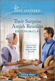 Their Surprise Amish Reunion