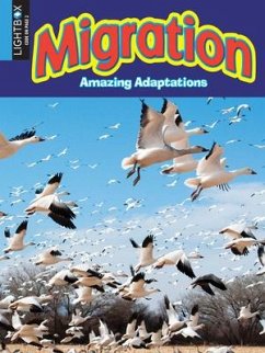 Migration - Kopp, Megan