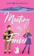 Meeting My Forever - Bild 1