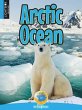 Arctic Ocean - Bild 1