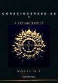 Consciousness as I (Non fiction, #2) (eBook, ePUB)