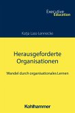 Herausgeforderte Organisationen (eBook, PDF)