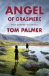 Angel of Grasmere (eBook, ePUB) - Bild 1