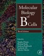 Molecular Biology of B Cells (eBook,... - Bild 1