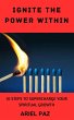 Ignite the Power Within (eBook, ePUB) - Bild 1