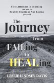 The Journey From FAILing to HEALing (eBook, ePUB)