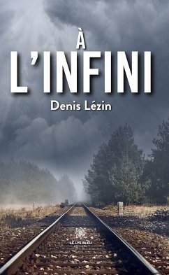 À l’infini (eBook, ePUB) - Lezin, Denis