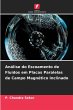 Análise do Escoamento de Fluidos em... - Bild 1