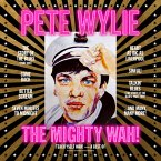 Teach Yself Wah! - The Best Of Pete Wylie & The Mi