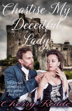 Cover Chastise My Deceitful Lady (eBook, ePUB)