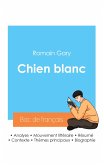 Réussir son Bac de français 2024 : Analyse du roman Chien blanc de Romain Gary