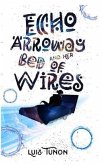 Echo Arroway and Her Bed of Wires (eBook, ePUB)