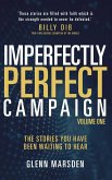 Imperfectly Perfect Campaign