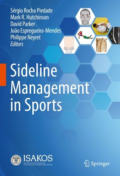 Sideline Management in Sports (eBook, PDF)