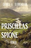 Priscillas Spione: Roman (eBook, ePUB)