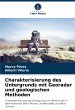 Charakterisierung des Untergrunds mit... - Bild 1