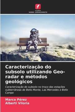 Caracterização do subsolo utilizando Geo-radar e métodos geológicos - Pérez, Marco;Viloria, Alberti