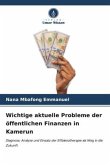 Wichtige aktuelle Probleme der öffentlichen Finanzen in Kamerun