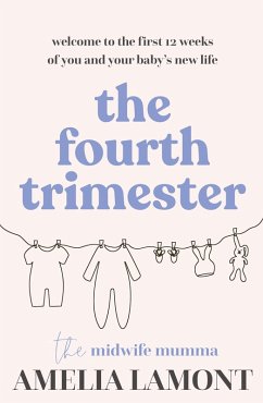 The Fourth Trimester (eBook, ePUB) - Lamont, Amelia