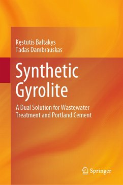 Synthetic Gyrolite (eBook, PDF) - Baltakys, Kęstutis; Dambrauskas, Tadas