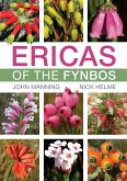 Ericas of the Fynbos (eBook, ePUB)